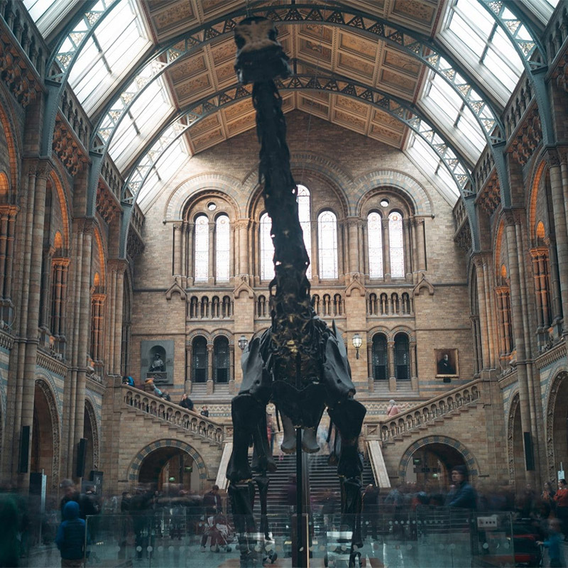 Natural History Museum