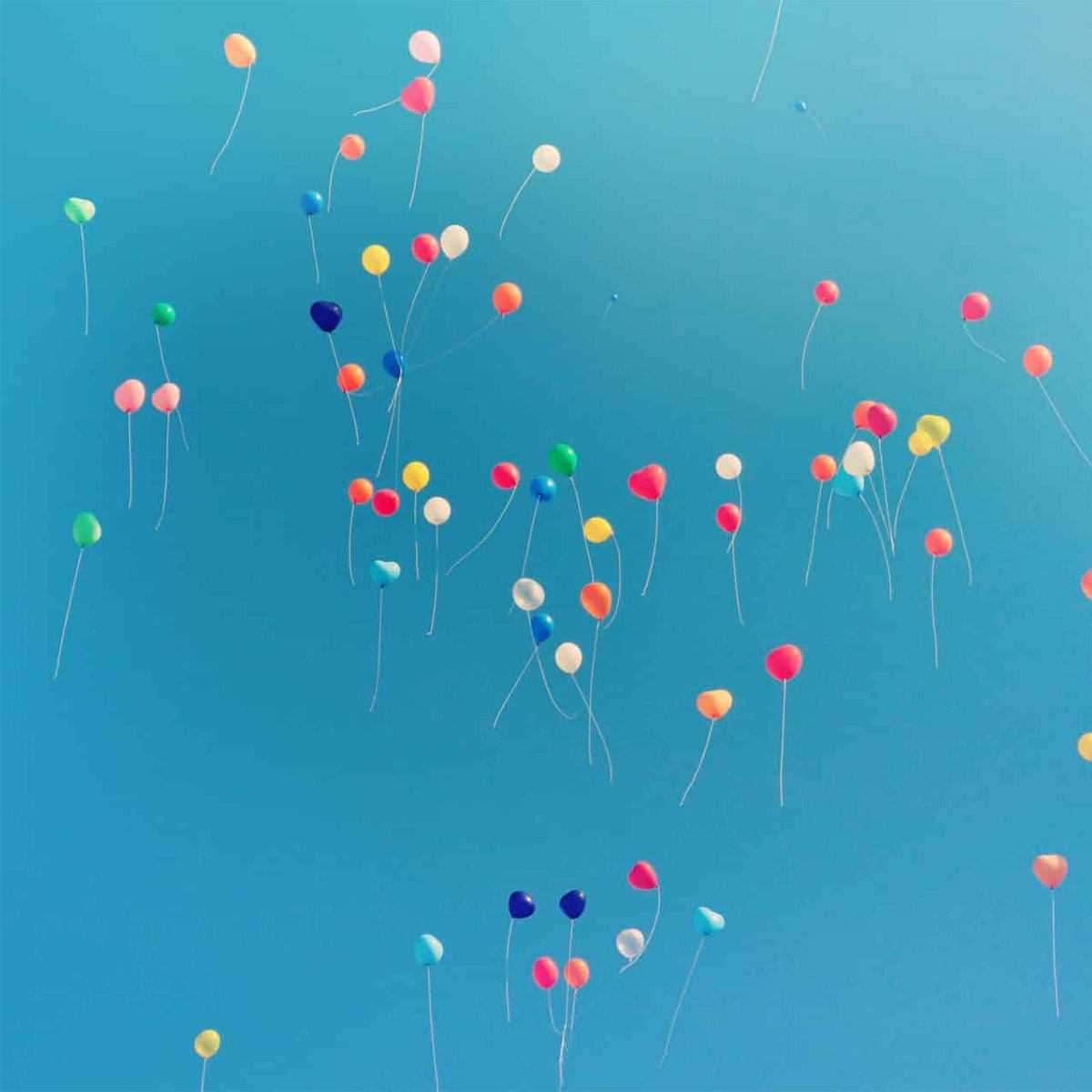 Coloured Balloons In The Sky