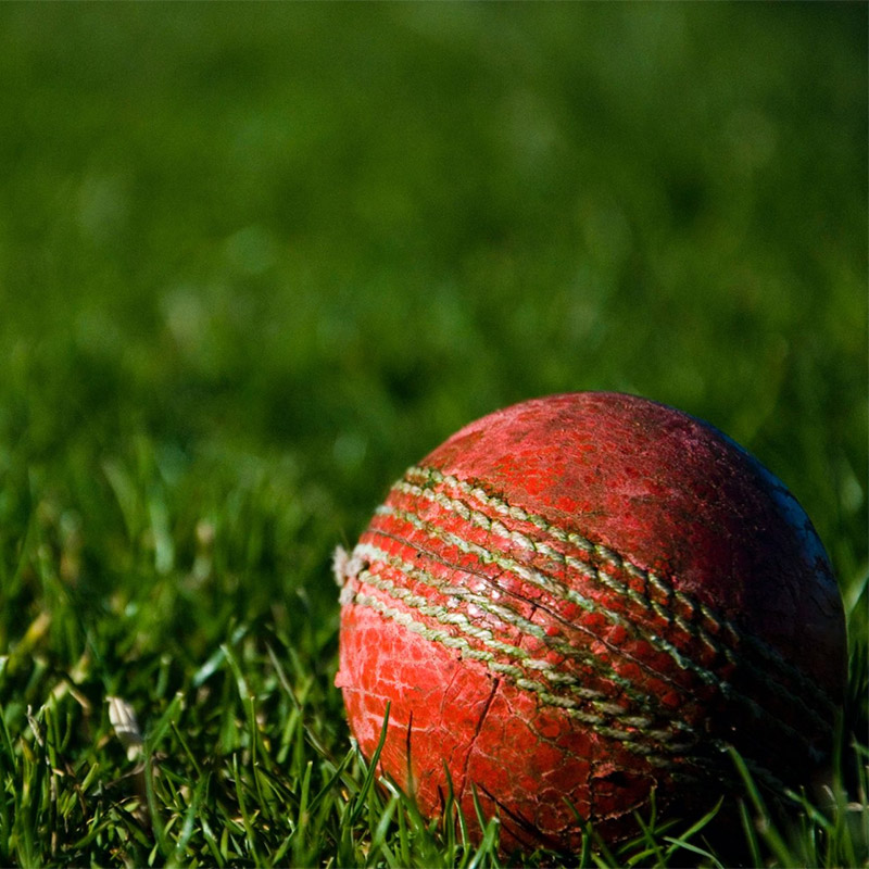 Close Up Of A Cricket Ball