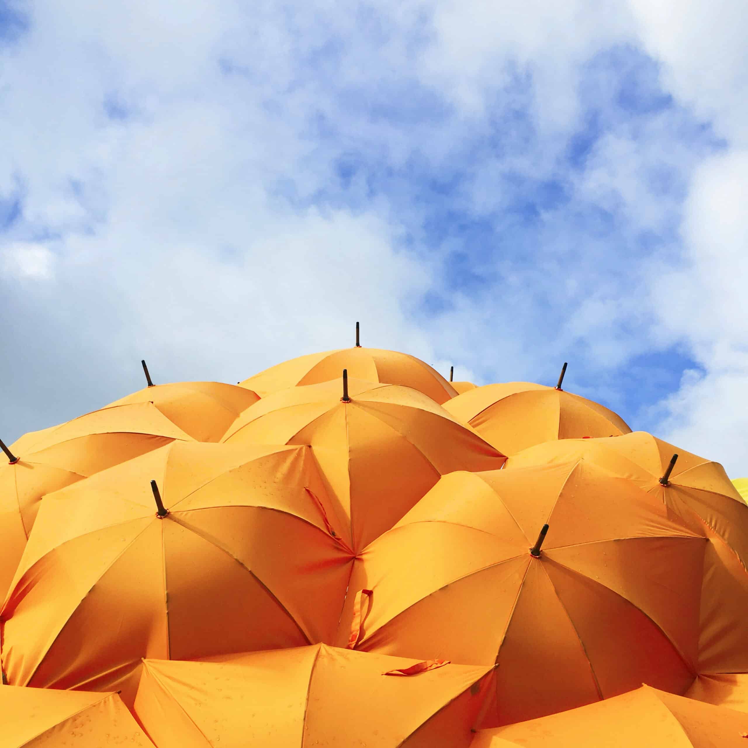 Orange umbrellas on a blue sky background