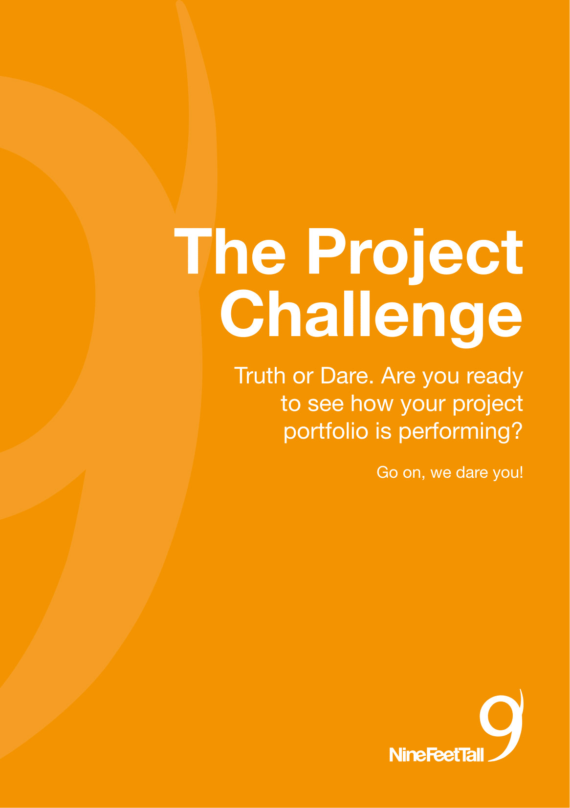 Report Cover The Project Challenge