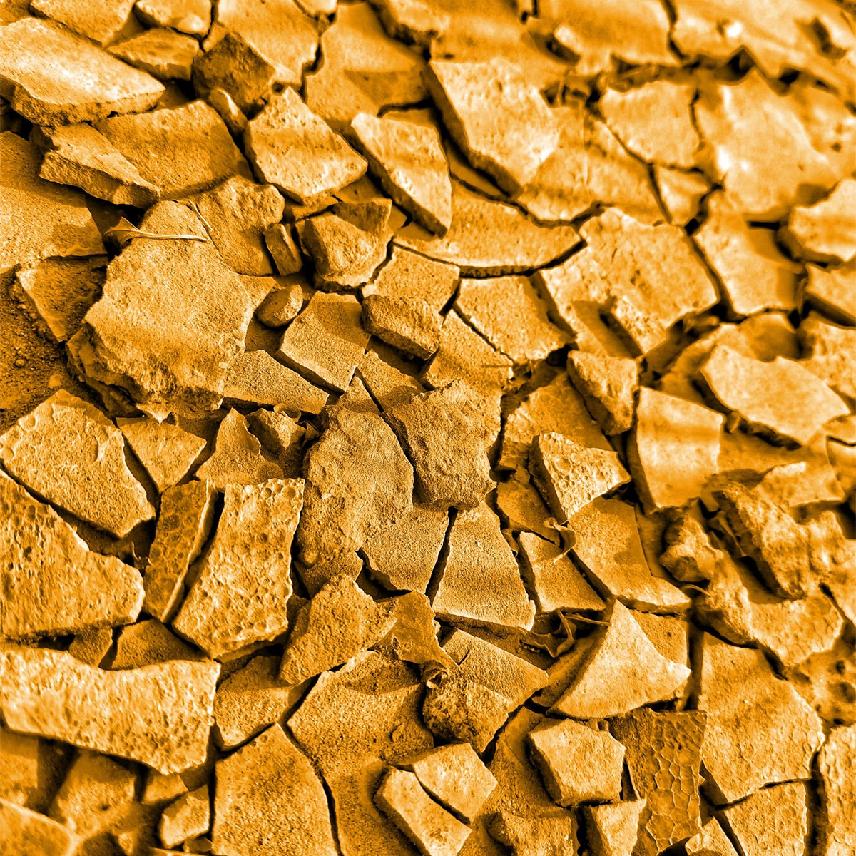 Rocks With Orange Hue