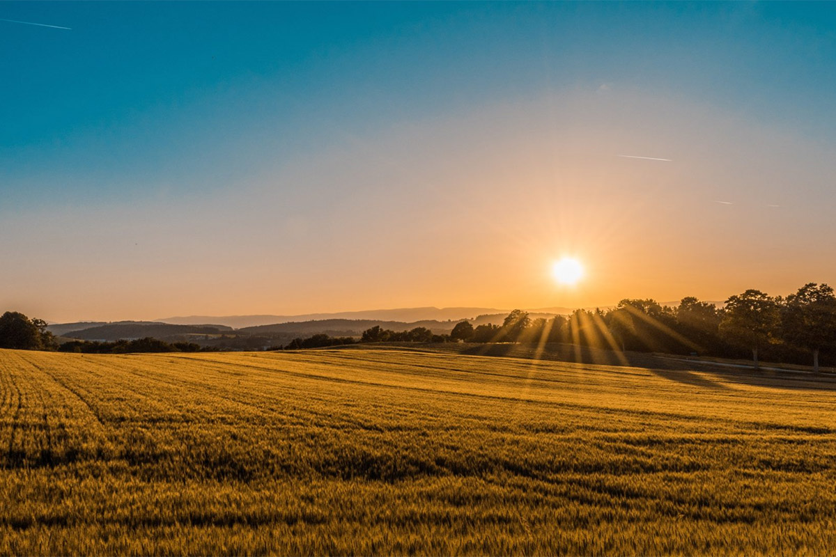Sunsettting Over Fields